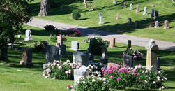 Greater New Haven Funeral Service